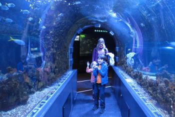 Bergen - akvárium
